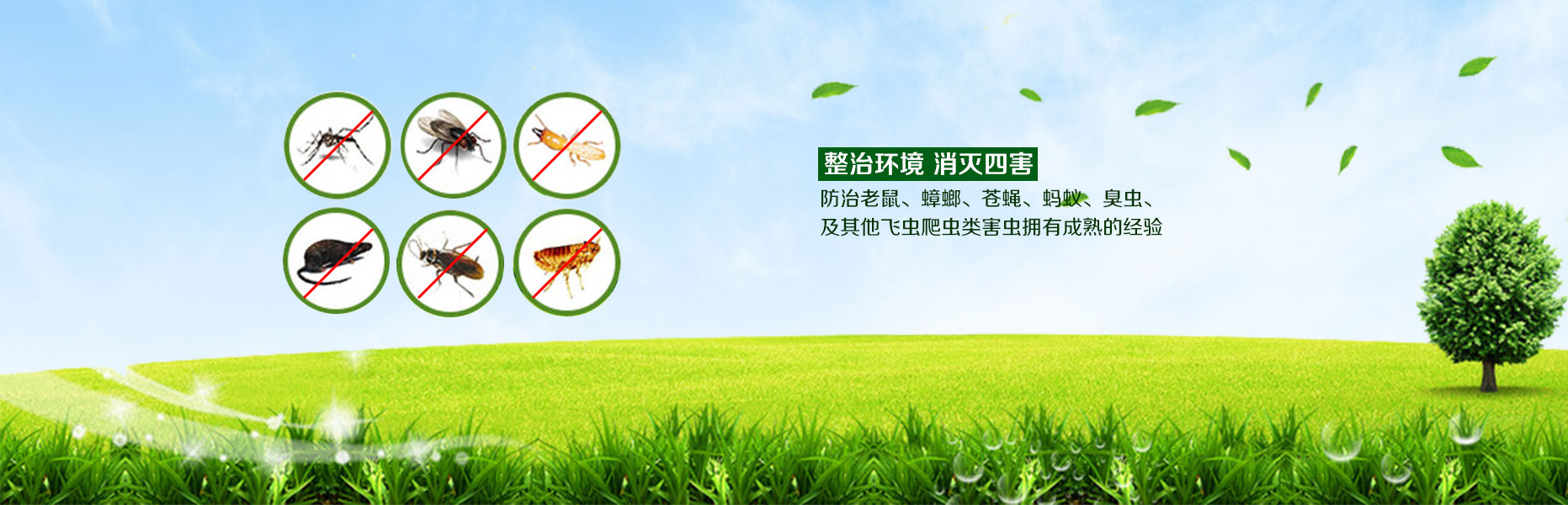 幻灯1